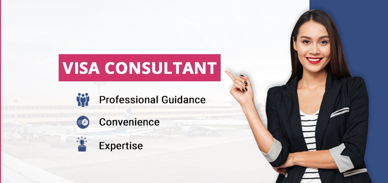 Visa Consultants